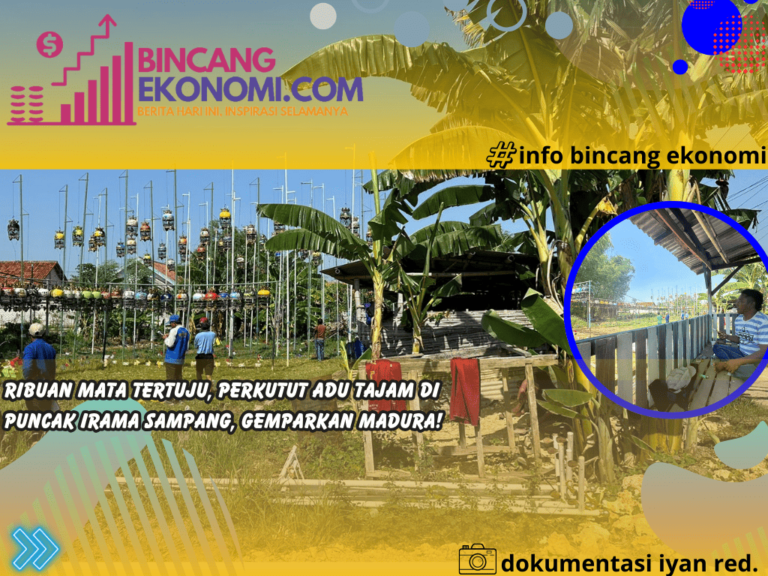 Ribuan Mata Tertuju, Perkutut Adu Tajam di Puncak Irama Sampang, Gemparkan Madura!