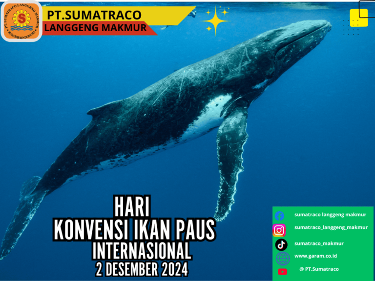 PT Sumatraco Langgeng Makmur Gelar Kampanye Lestari, Rayakan Hari Konvensi Ikan Paus
