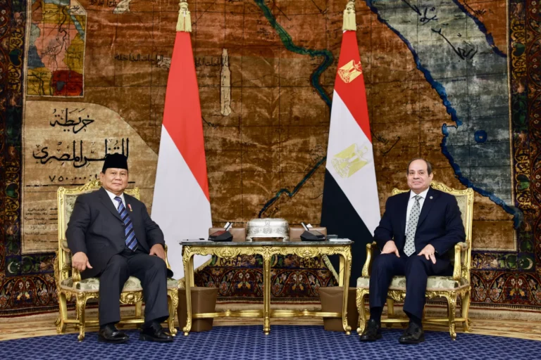 Prabowo dan Presiden Mesir Serukan Gencatan Senjata Demi Perdamaian Palestina