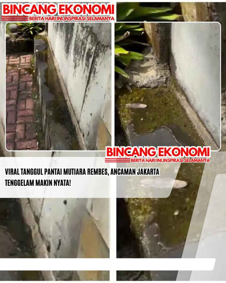 Viral Tanggul Pantai Mutiara Rembes, Ancaman Jakarta Tenggelam Makin Nyata!